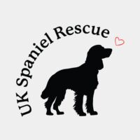 UK SR - curve text black Thumbnail