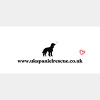 LOGO & URL Thumbnail